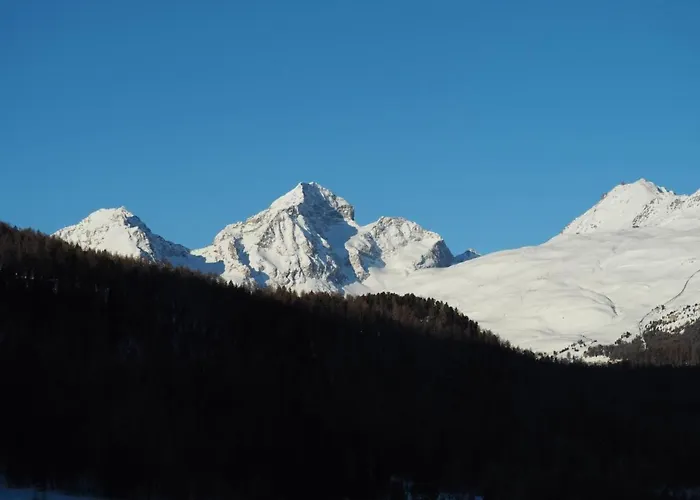 Chesa La Tegia By Interhome Apartmán Pontresina